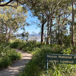 Laguna Lookout - Noosa Heads