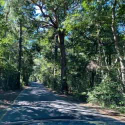Laguna Lookout - Noosa Heads