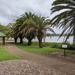 Noosa Botanic Gardens - Noosa Heads