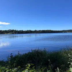 Noosa Botanic Gardens - Noosa Heads