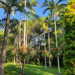 Noosa Botanic Gardens - Noosa Heads