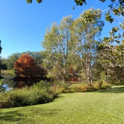 Noosa Botanic Gardens - Noosa Heads