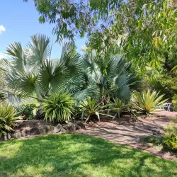 Noosa Botanic Gardens - Noosa Heads