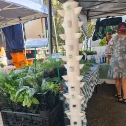 Noosa Farmers Market - Noosa Heads