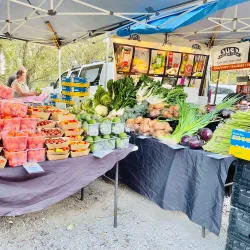 Noosa Farmers Market - Noosa Heads