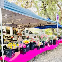 Noosa Farmers Market - Noosa Heads