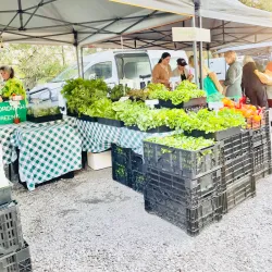 Noosa Farmers Market - Noosa Heads