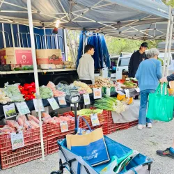 Noosa Farmers Market - Noosa Heads