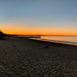 Noosa Main Beach - Noosa Heads