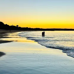 Noosa Main Beach - Noosa Heads
