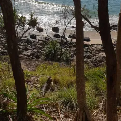 Noosa River - Noosa Heads