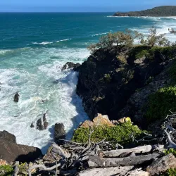 Tea Tree Bay - Noosa Heads