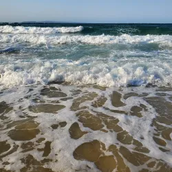 Tea Tree Bay - Noosa Heads