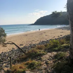 Tea Tree Bay - Noosa Heads
