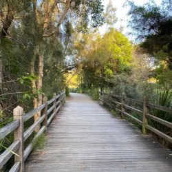 Lakeside Park - North Lakes