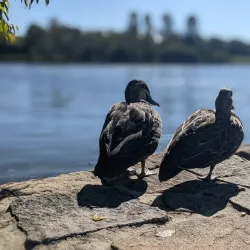 Lakeside Park - North Lakes