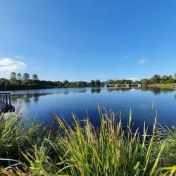 Lakeside Park - North Lakes