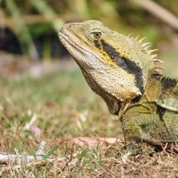 Lakeside Park - North Lakes