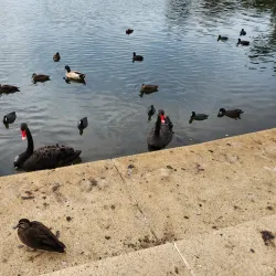 Lakeside Park - North Lakes