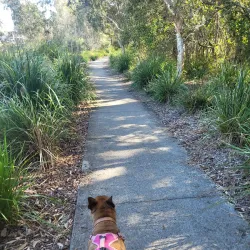 North Lakes Environmental Park - North Lakes