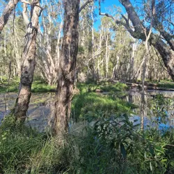 North Lakes Environmental Park - North Lakes