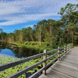 North Lakes Environmental Park - North Lakes