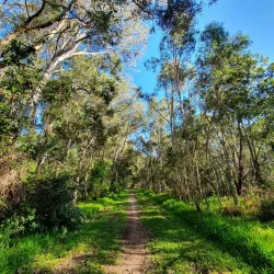 North Lakes Environmental Park - North Lakes