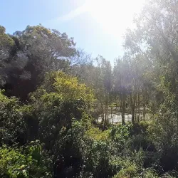 North Lakes Environmental Park - North Lakes