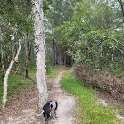 North Lakes Environmental Park - North Lakes