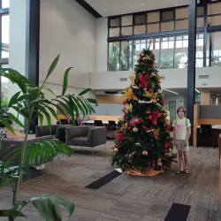 North Lakes Library - North Lakes