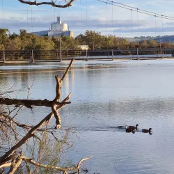 Avon Descent - Northam