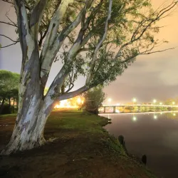 Avon River - Northam