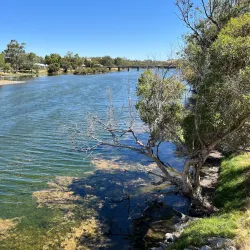 Avon River - Northam