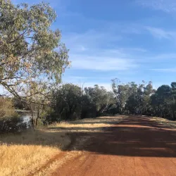 Avon River - Northam