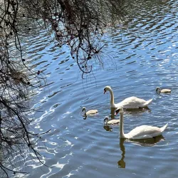 Avon Valley Visitor Centre - Northam