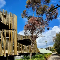 Bilya Koort Boodja Centre - Northam