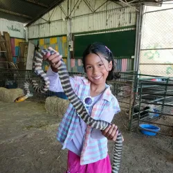 Northam Farmers Market - Northam