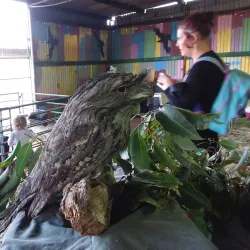 Northam Farmers Market - Northam