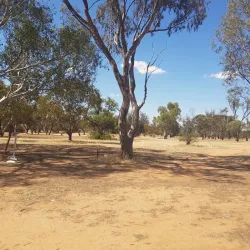 Northam Golf Club - Northam