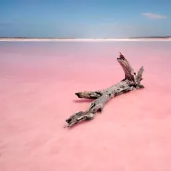 Kalbarri National Park (nearby) - Northampton