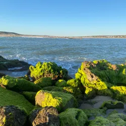 Kalbarri National Park (nearby) - Northampton