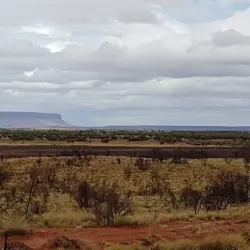 Mount Horner Lookout - Northampton