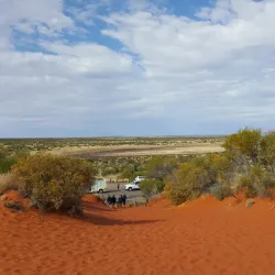 Mount Horner Lookout - Northampton
