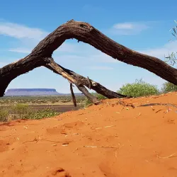 Mount Horner Lookout - Northampton