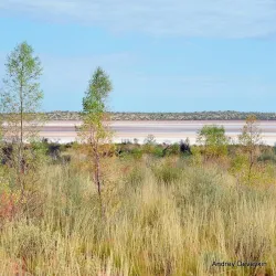 Mount Horner Lookout - Northampton