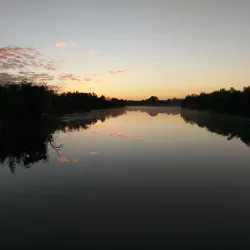 Murchison River - Northampton
