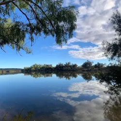 Murchison River - Northampton