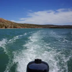 Murchison River - Northampton
