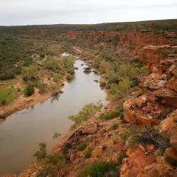 Murchison River - Northampton