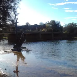 Murchison River - Northampton